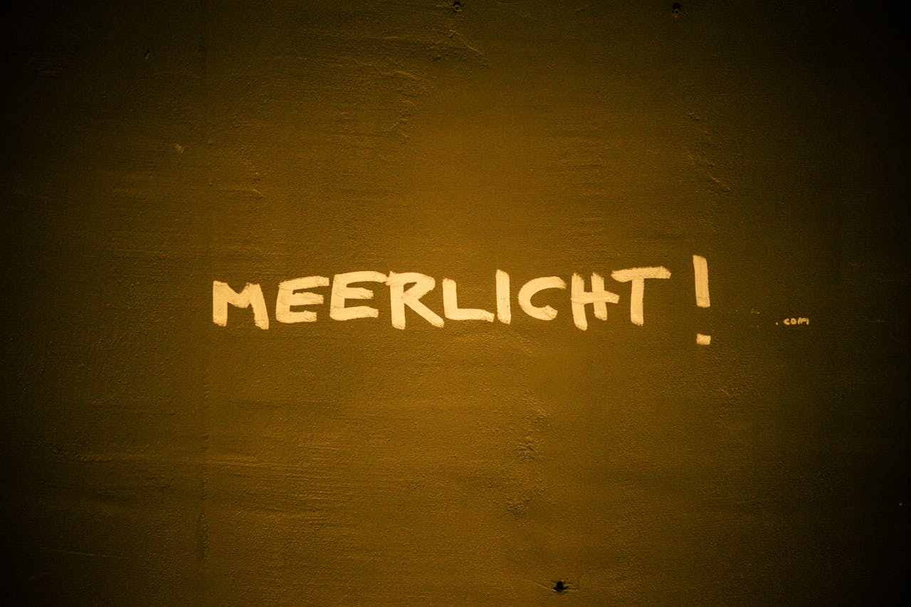 Graffiti reading 'Meerlicht' on a dark textured wall in warm lighting.